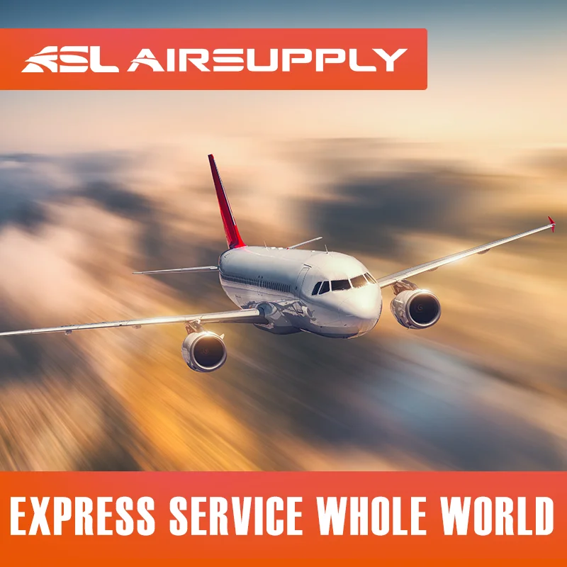 Door to Door container sea shipping courier service/dhl express from china to whole world