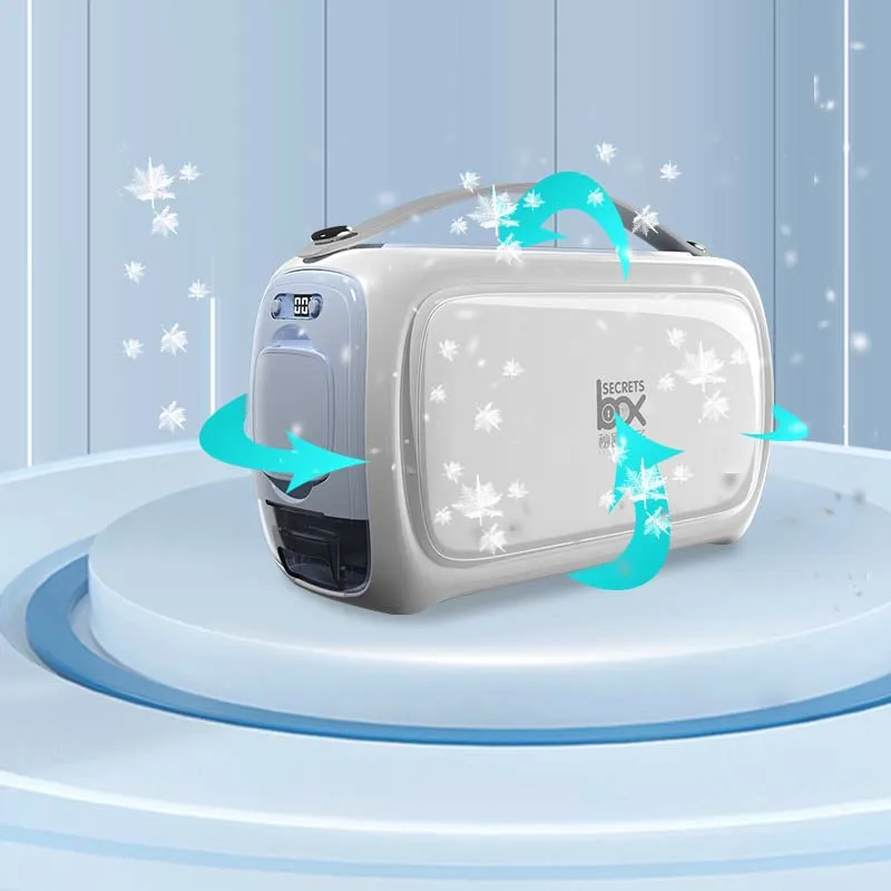 New summer hot sale fridge mini refrigerator electricity car fast cooling for drugs and Insulin charge cooler box