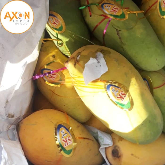 
Full Ripe And Juicy Chaunsa Mangoes From Pakistan/Honey Sweat Mangos 