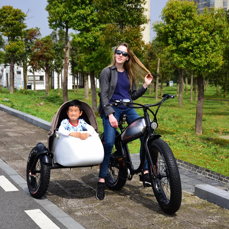 20inch fat tire side car electric bike conversion kit tricycle load children