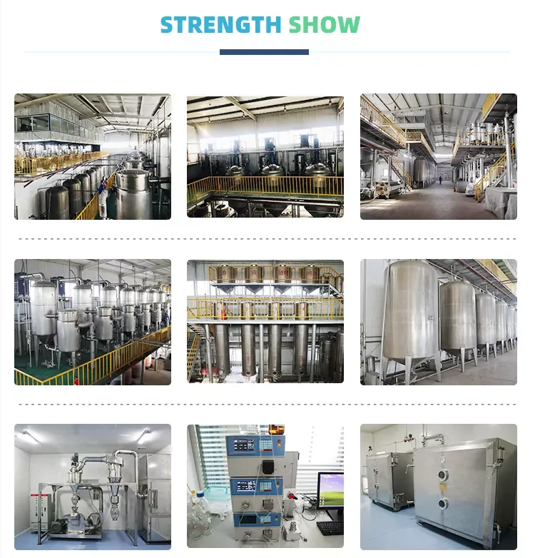 High Quality 99% Sunflower Seed Oil