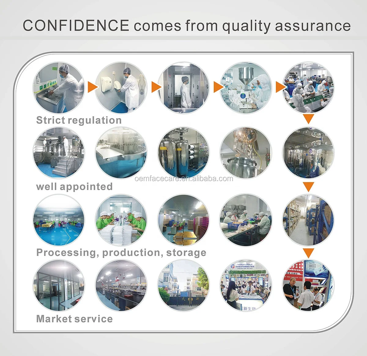 Private Label 3ml Organic Skin care With GHK-CU Hyaluronic Acid & Vitamin E  Anti Aging Anti oxidant Copper peptide Face Amouple