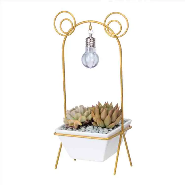 Factory Hot Sell White Ceramic Pot Frog Shape Creative Flowerpot For Desktop Ornaments