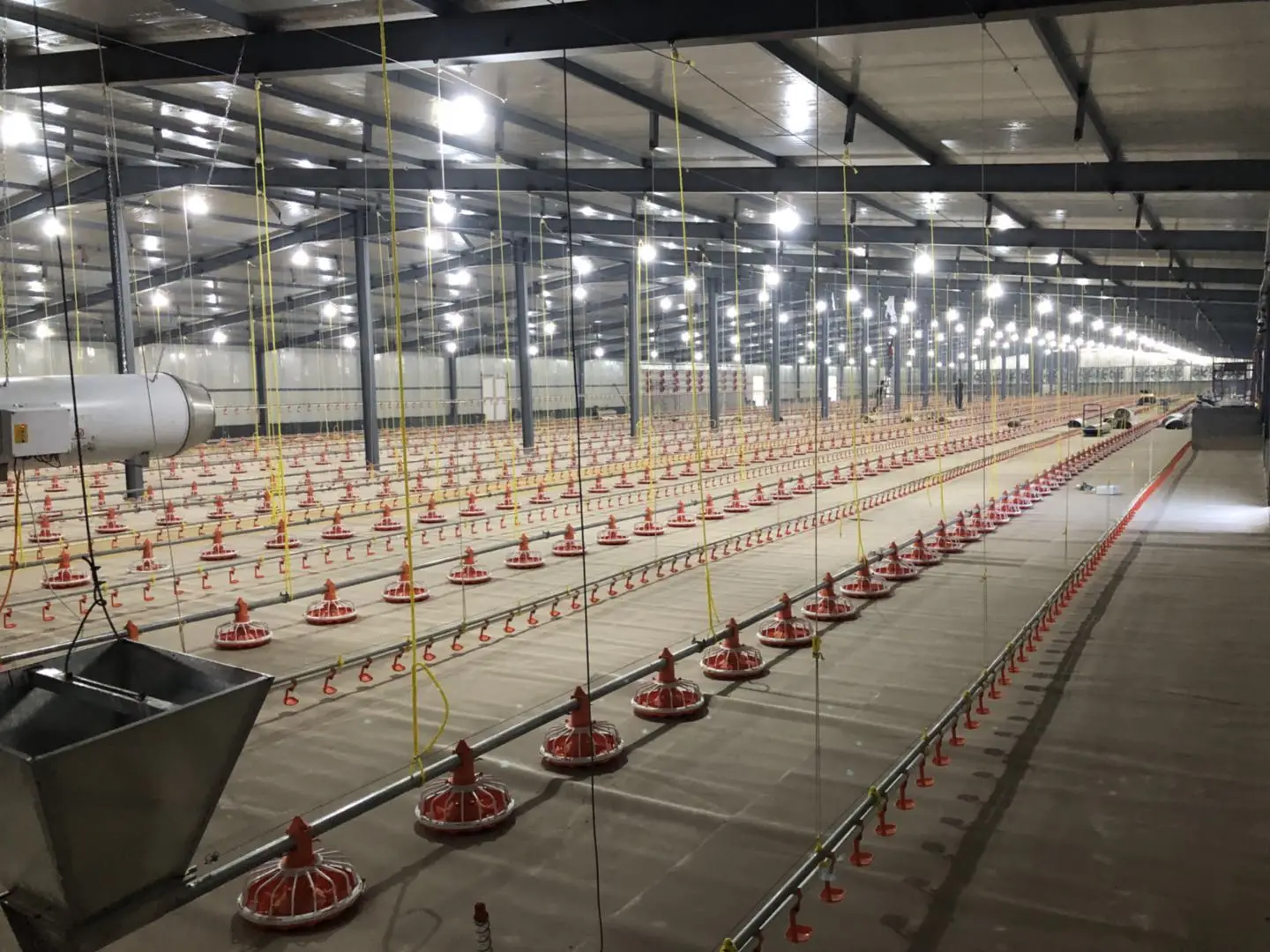 Customized Plan Nipple Drinking line Poultry Feeding Line Chicken house Breeding Equipment for Broiler chicken