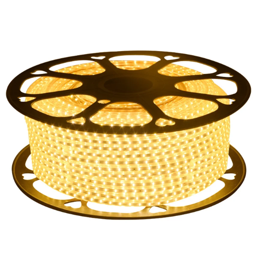 Home Decoration Tira Smart led Strip light waterproof SMD5050 3014 led strip light for ceiling 220v