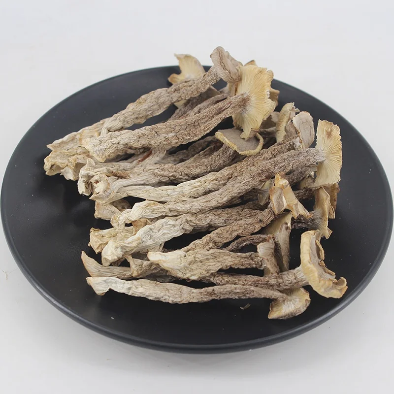 High Quality Dried Natural Pilose Antler Mushroom Velvet Antler Mushroom for Sale