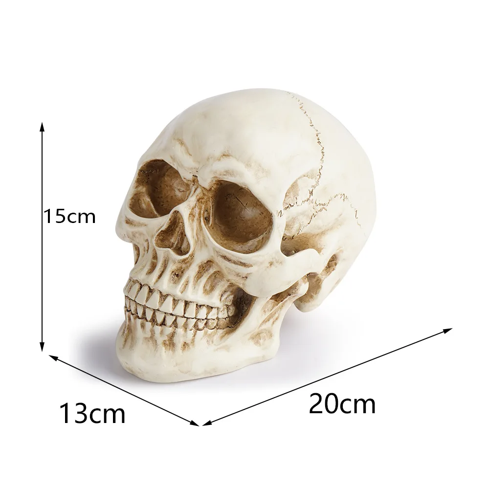 Resin Crafts Skull Model Teaching Aids Skull Animal Skull Halloween Props Fancy Dress Ball