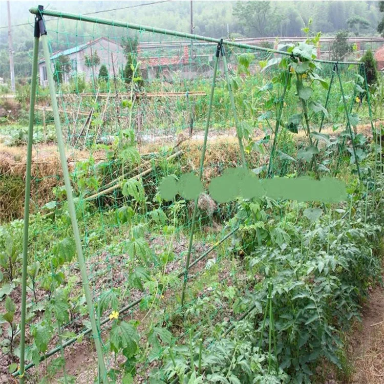 Trellis Netting Grow Garden for Cucumber Vine Fruits Vegetables Tomato Plants Climbing Vine Plant
