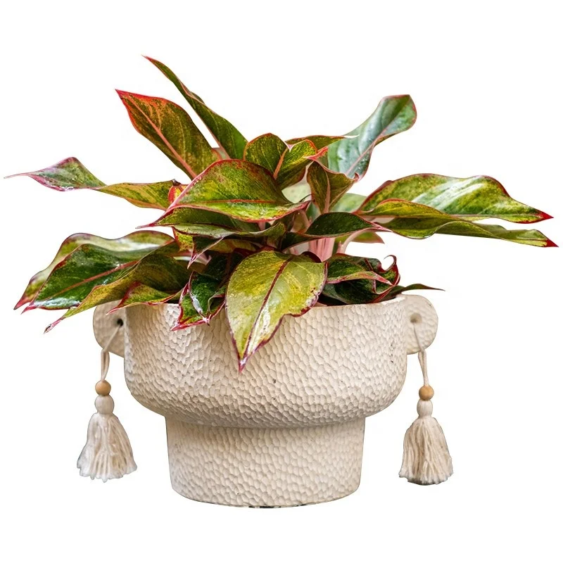 Double-eared flower pot tassel cement flower pot vase Nordic wind fairy cup tall green radish succulent potted plant