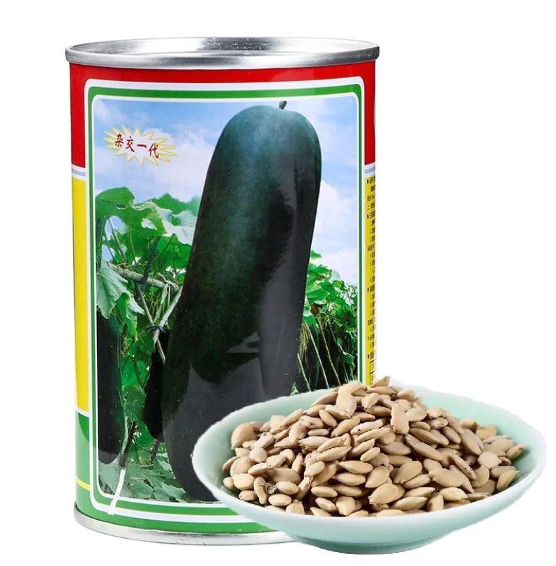 
Hei you da Dong gua NON-GMO new dark green winter melon seeds 