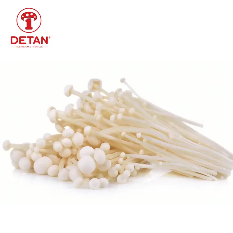 detan Sold all year roun fresh Origin Jamur Enoki Mushroom From China