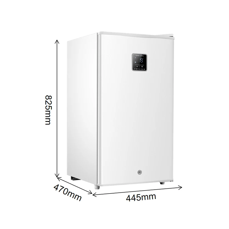 Fridge Two Panel Mini Refrigerator Double Door Electric Plastic Portable Comercial Refrigerator