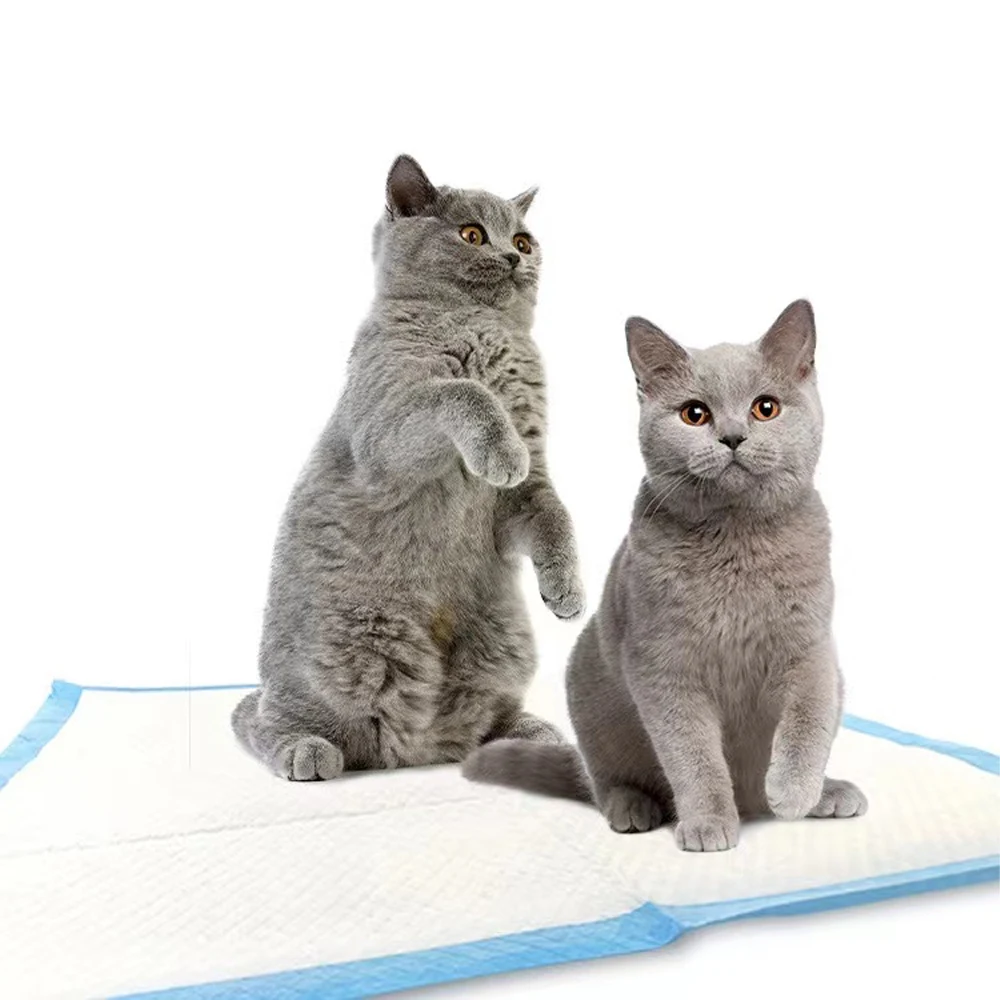Hollee Hot Sale Customizable SAP Pet Training Pad Pee Pad for Dogs and Cats Non-Woven Fabric with Sustainable PE Materials