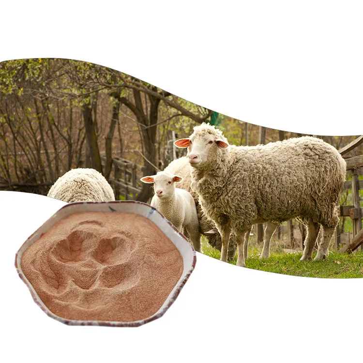 The Beneficial Bacteria Inhibit e. coli Reproduction Animal  Probiotics Bacillus Licheniformis