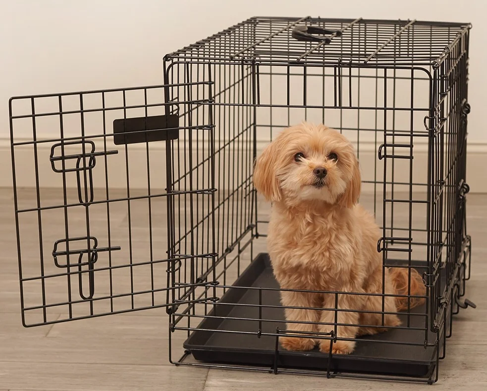 Hot Sale Strong Folding Metal Wire Home Floor Dog Cage Durable Metal Collapsible Pet Animal Cages For Dog With Handle And Lock