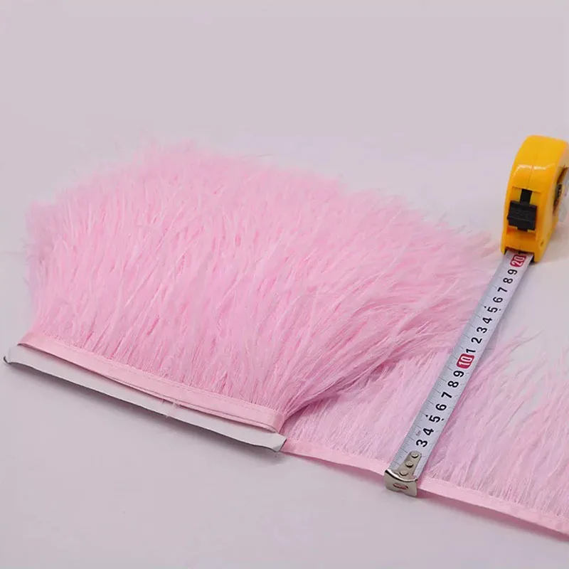 Silver Grey Ostrich Feather Trim Ruban Plume