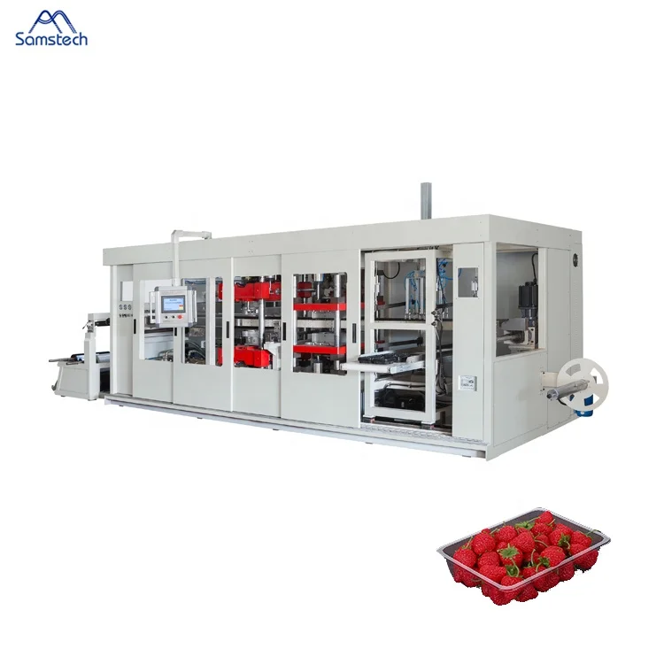 Plastic Vacuum Forming Machine For Strawberry Punnet Trays Making