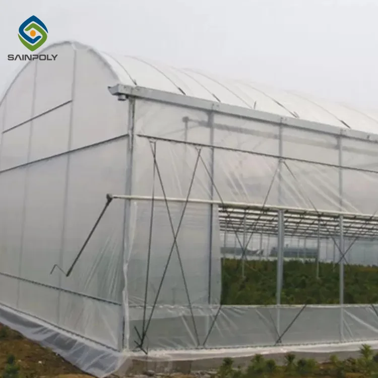 Sainpoly Hot Sale Agricultural Greenhouses Plastic Films Greenhouse Large Small Sizes