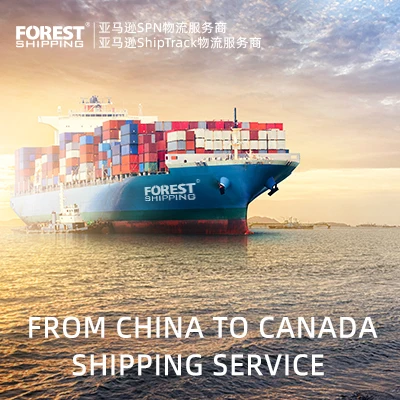Worldwide sea shipping door to door freight forwarder logistics service sea shipping agent from china to Canada