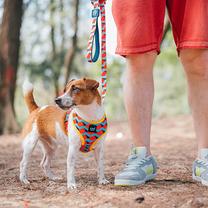 Dog Cat Harness for Pug Small Medium Dogs Pet Adjustable Vest Walking Lead Leash for Puppy  Collar Cat Pet Dog Chest Strap Leash