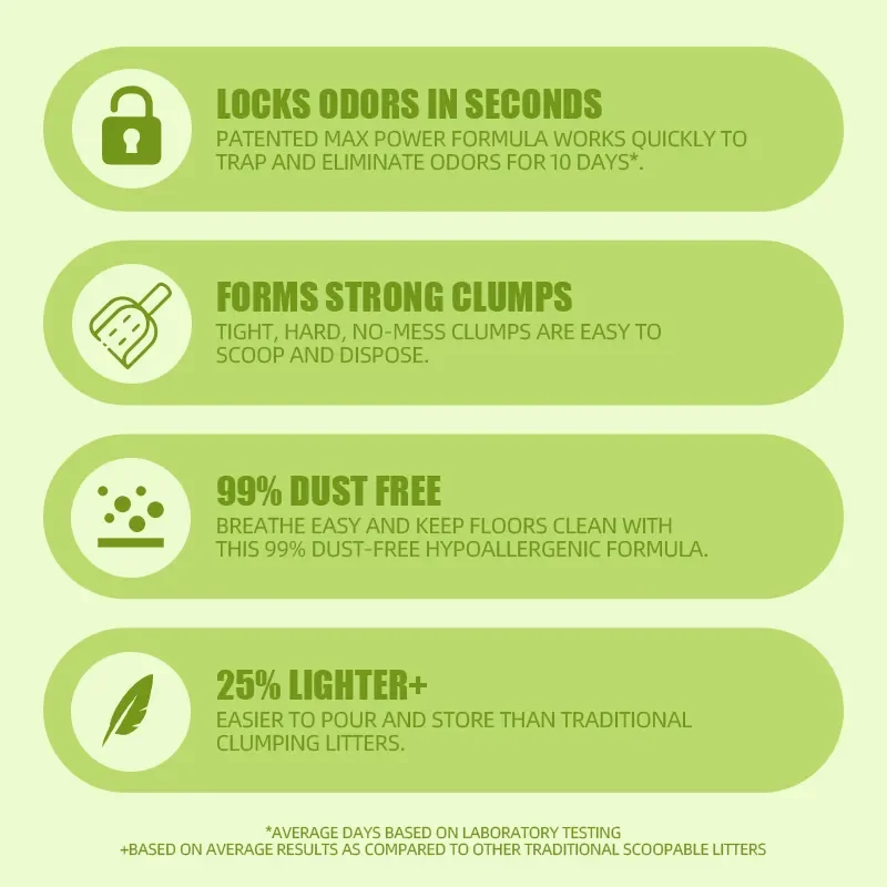 Wholesale Large Discounts Dust Free Highly Absorbent Long-Lasting Freshness Best Selling Bentonite Cat Litter