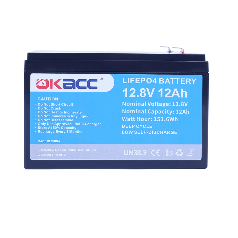 Superior Quality High Power Batterie Lithium Lithium-Ion Plomb 12V 12Ah Battery