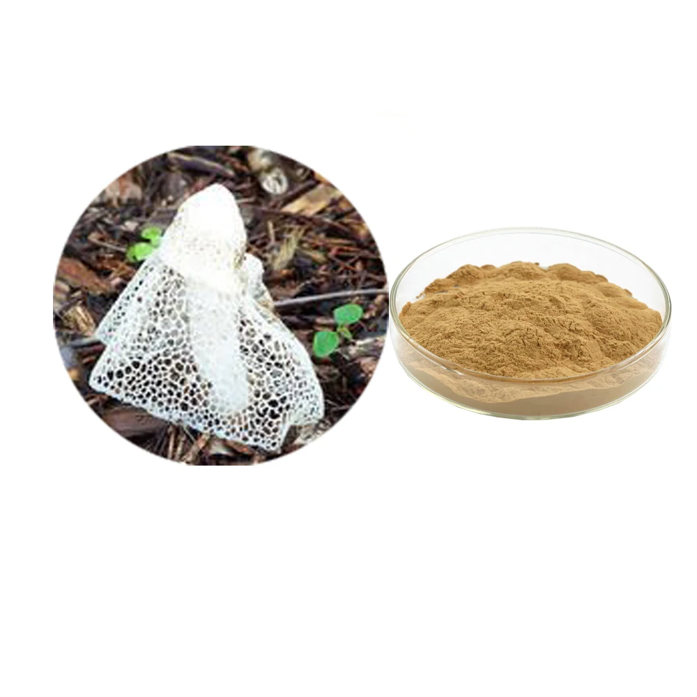 Экстракт порошка Dictyophora indusiata (Vent.ex Pers) экстракт Фиша полисахарид 30%