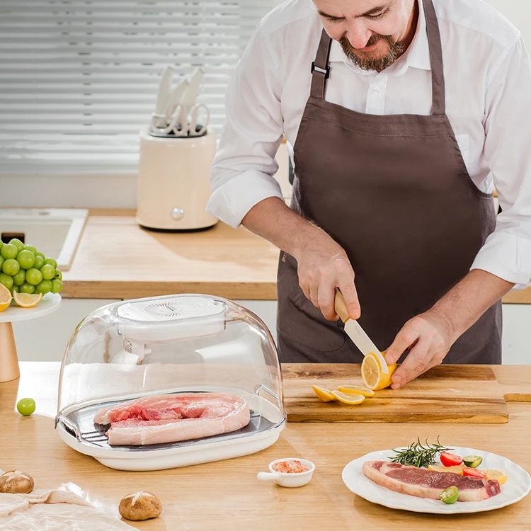2022 New Defrosting Box  With Meat Defrosting tray Kitchen Product Meat Defrosting Machine Quickly Thawing