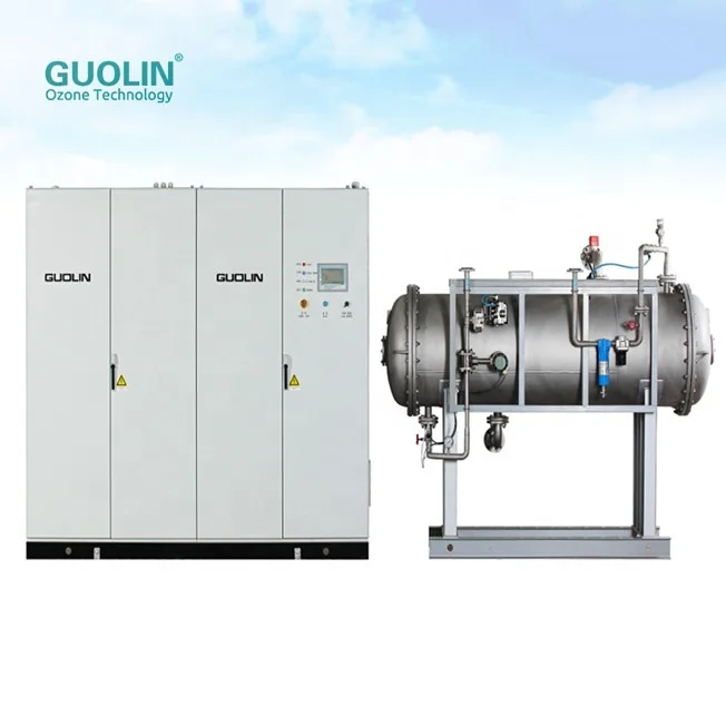 3kg/h Ozone Water Generator Purifier For Industrial Use