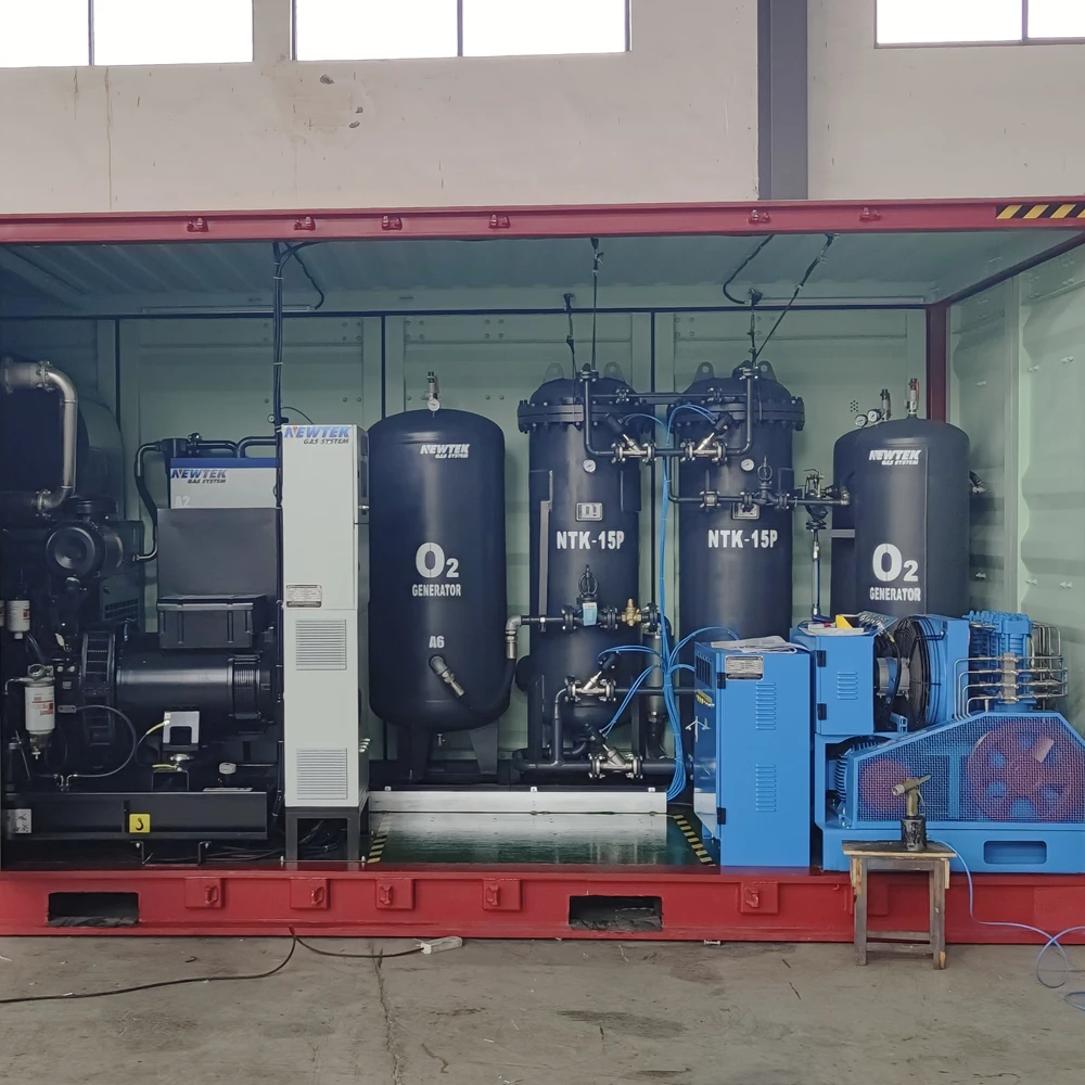 NEWTEK 10Nm3/hr 99% Container type oxygen generator industrial oxygen generator