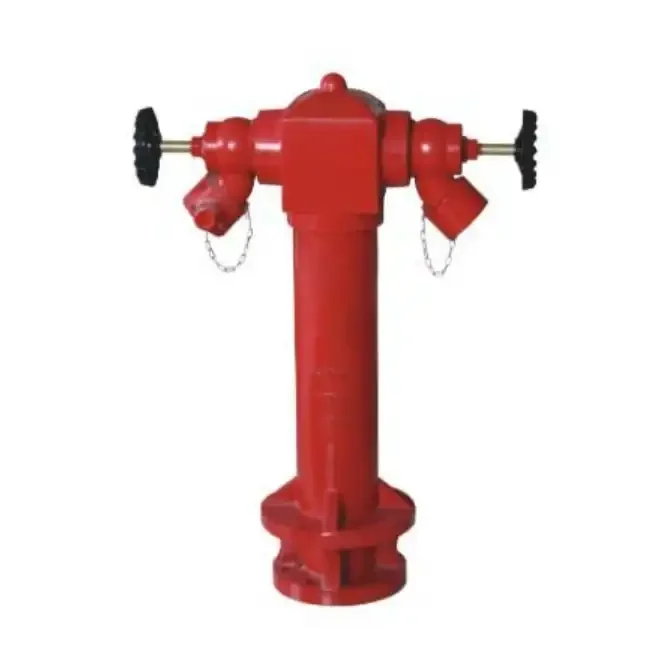 BS750 DN100 inlet ground 65mm two way fire hydrant with NH coupling