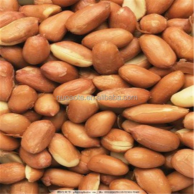 Органический экспортер мелких орехов, здоровые и натуральные китайские большие кунчики/Арахис
