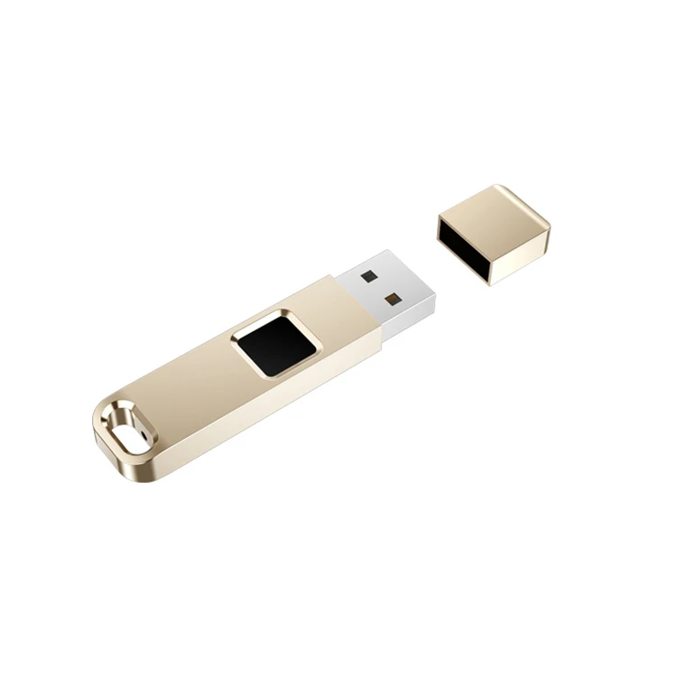 Wholesale 1 Years Warranty Customized Fingerprint 32Gb 64Gb Usb Metal Flash Drive For Laptop Pc