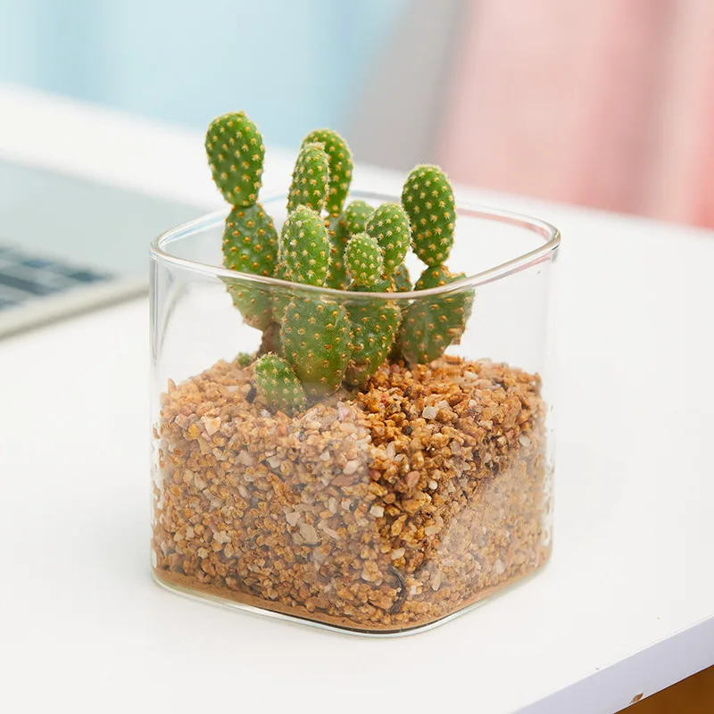 New style square small succulent pot indoor succulent planter pot