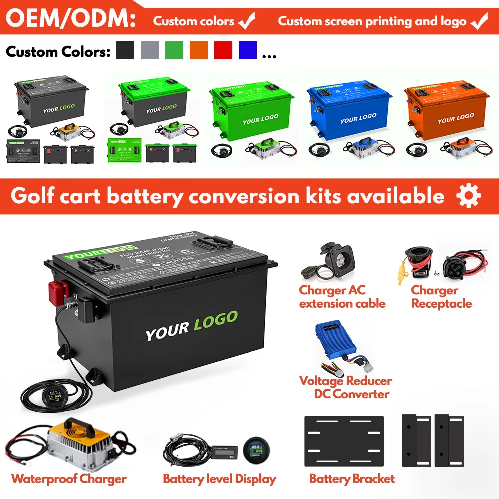 OEM ODM HHS golf cart LFP battery 38.4V 51.2v 72ah 105ah golf cart 100ah ip55 100ah 76.8v battery for golf carts