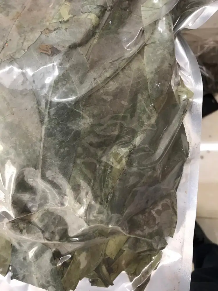 
Fresh Soursop Leaves /DRIED Graviola Leaf tea / Whatsapp +84-845-639-639 