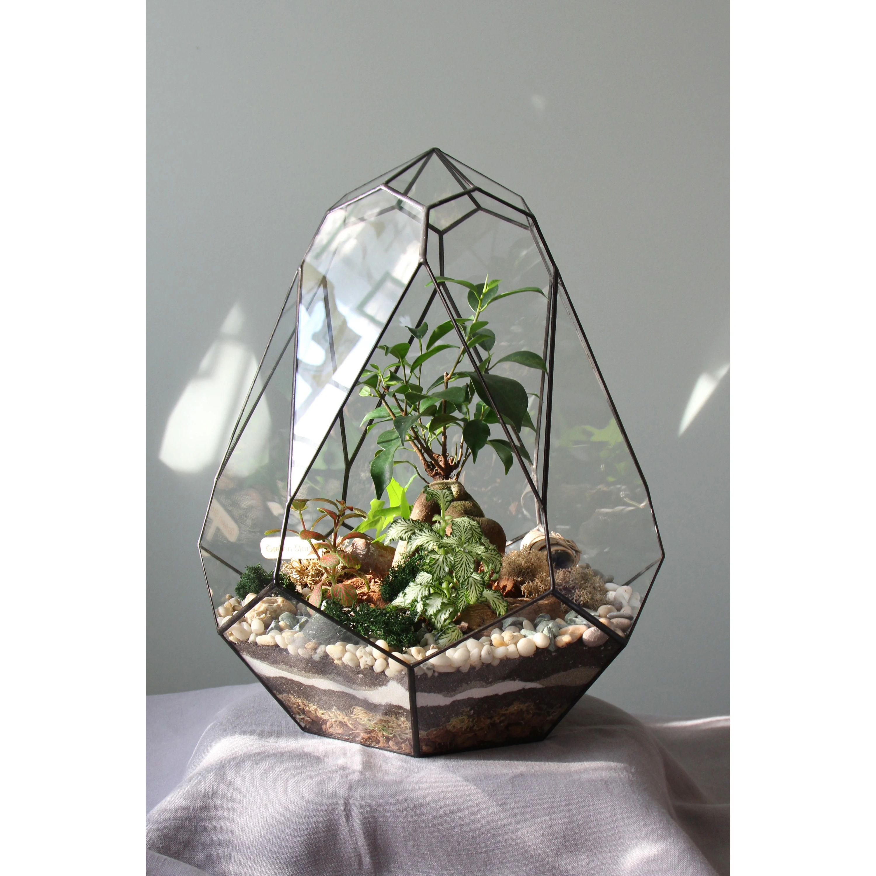 Make Your Own Unique Terrariums With Plants Terrarium Glass Air Plant Geometric Terrarium For Desk Decoration