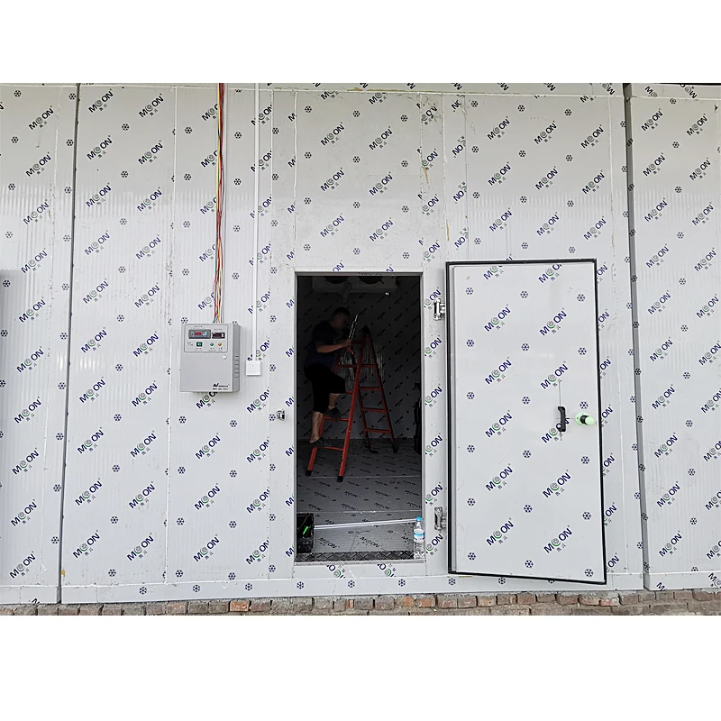 Frozen room cold systems cold room of meat goat cold storage room