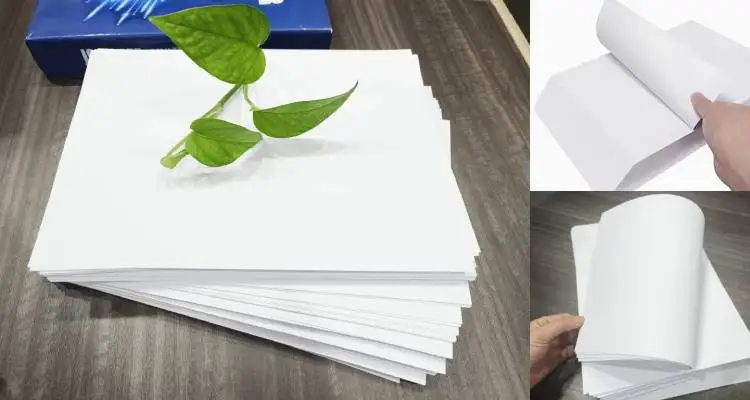 Wholesale Office Supplier A4 Size 70gsm 75gsm 80gsm Hard A4 Bond Paper 70 80 Gsm Draft Double White Printer Office Copy Paper