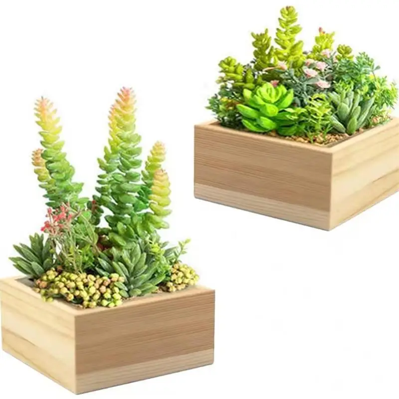 Wooden Succulent Potted Ornament pine  Box Wooden Keepsake Box Baby Card Wedding funny  Box Gift Wood