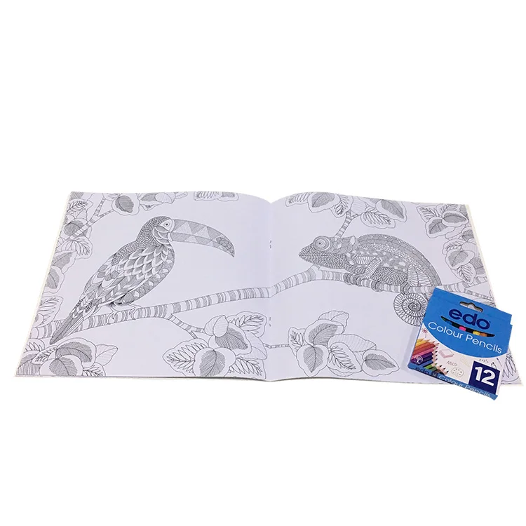 Mystery Garden Adult Drawing Book Custom Printing Coloring Book With Crayons