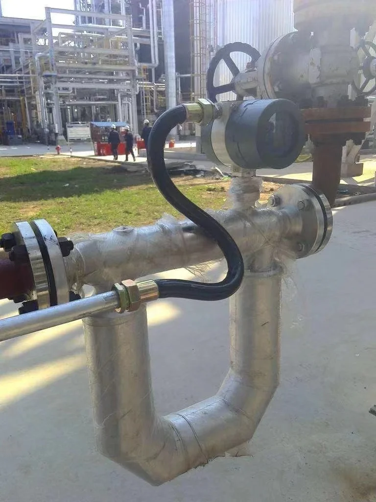 Measuring Device Water Gas Modbus HART Communication Coriolis Mass Flow Meter