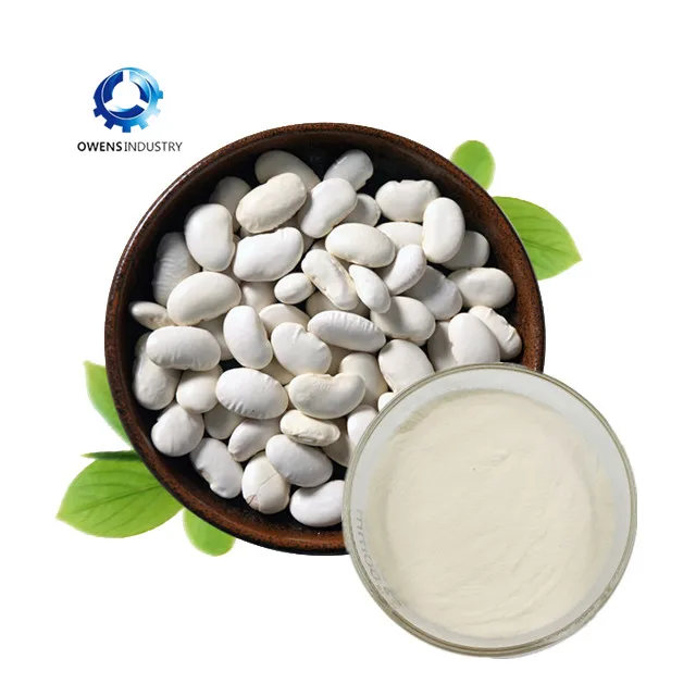 White Kidney Bean Extract1.jpg