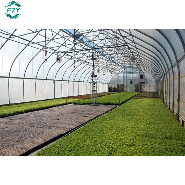 mushroom growing container agricultural thai film single-span turnkey project with quick construction greenhouse for farming
