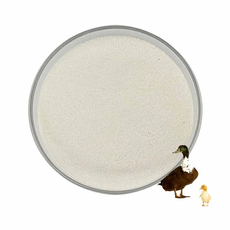 enzyme feed enzyme phytase