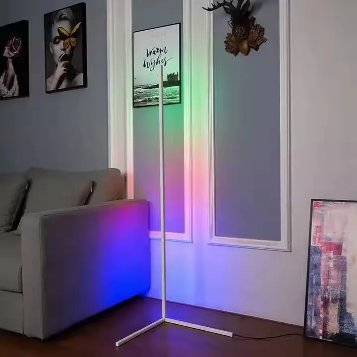 Modern Minimalist Dimmable RGB Corner Lamp Living Room Bedroom Ambient Light Celebrity Photo Photography Fill-Light Floor Lamp