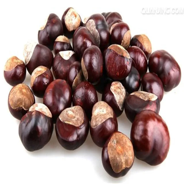 2021 New Organic Fresh Chestnut