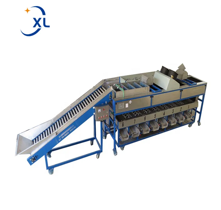 Fruits Washing Grading Machine CE