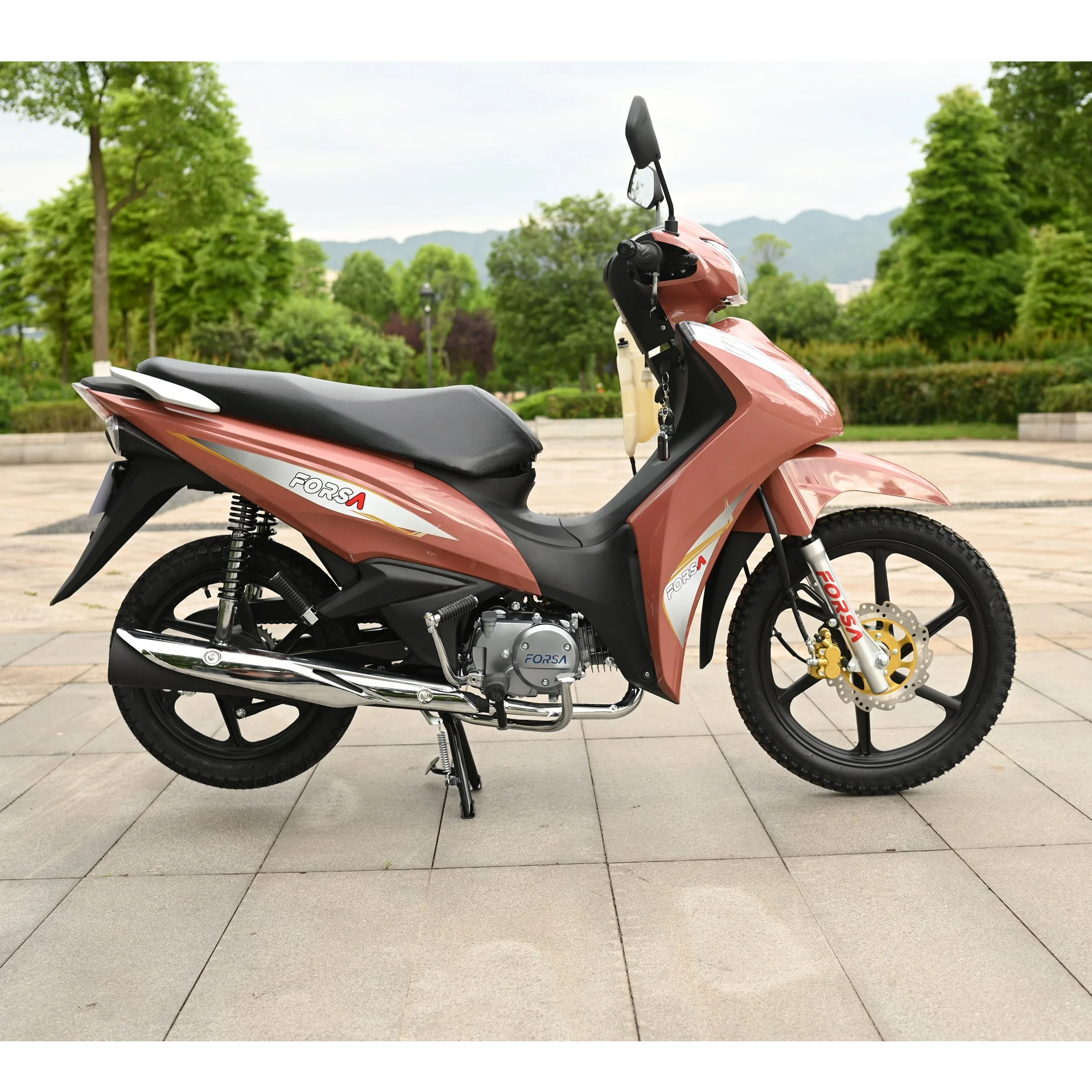 135cc Motorcycle FS135-B12 Forsa Cub Gasoline Motorcycle  China Manufacturer