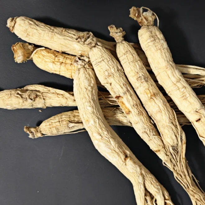 Preferred Jilin Changbai Mountain Ginseng Bitter Taste Packaged in Bag Adult Nourishment Health Preservation Agriculture Product